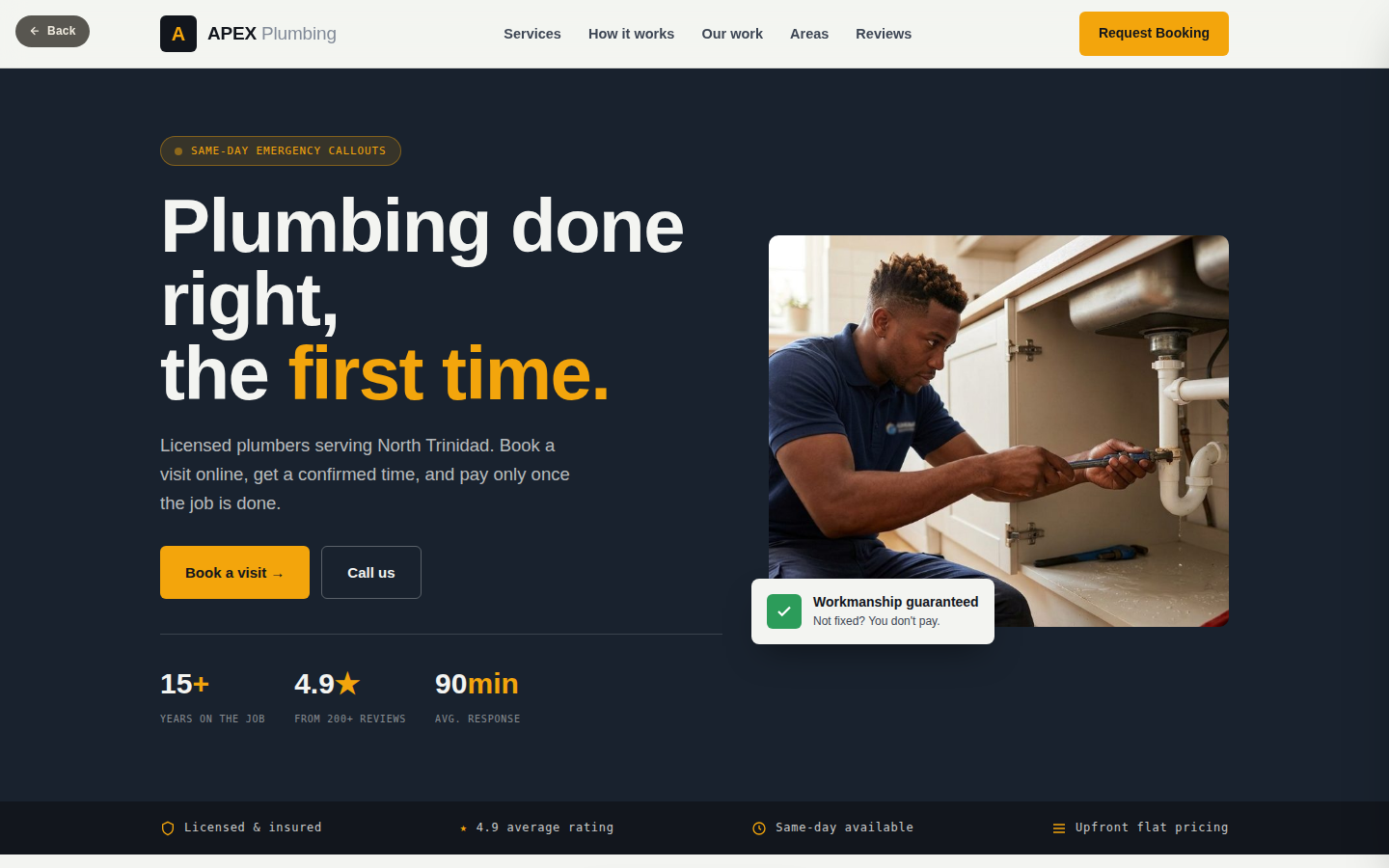 The Service Pro template preview